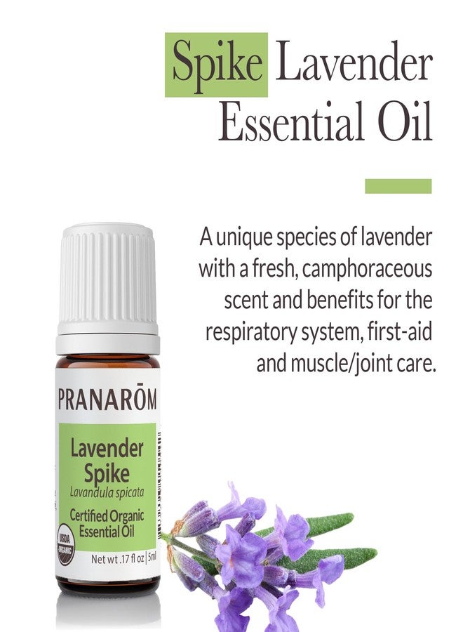Pranarom - Lavender, Spike Essential Oil 5ml - Ideal for Wellness Enthusiasts - Diffusing for Relaxation Therapy - Certified Organic Purity - 100% Pure, Certified Organic Lavandula Spicata - Image 2